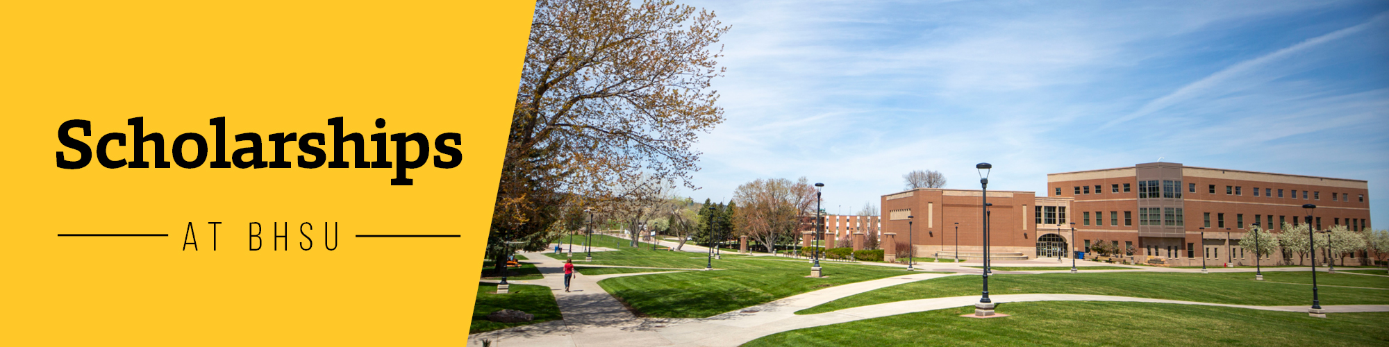 Scholarship Banner