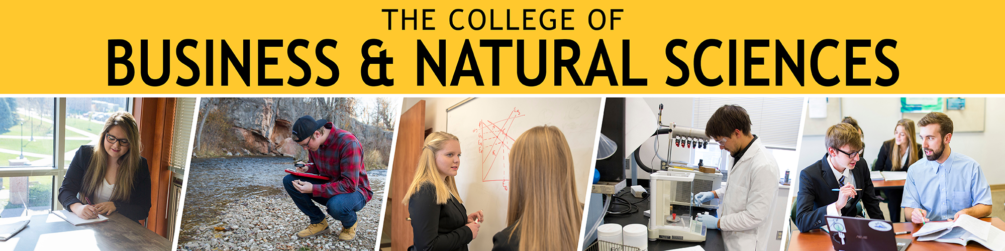 The College of Business and Natural Sciences Banner