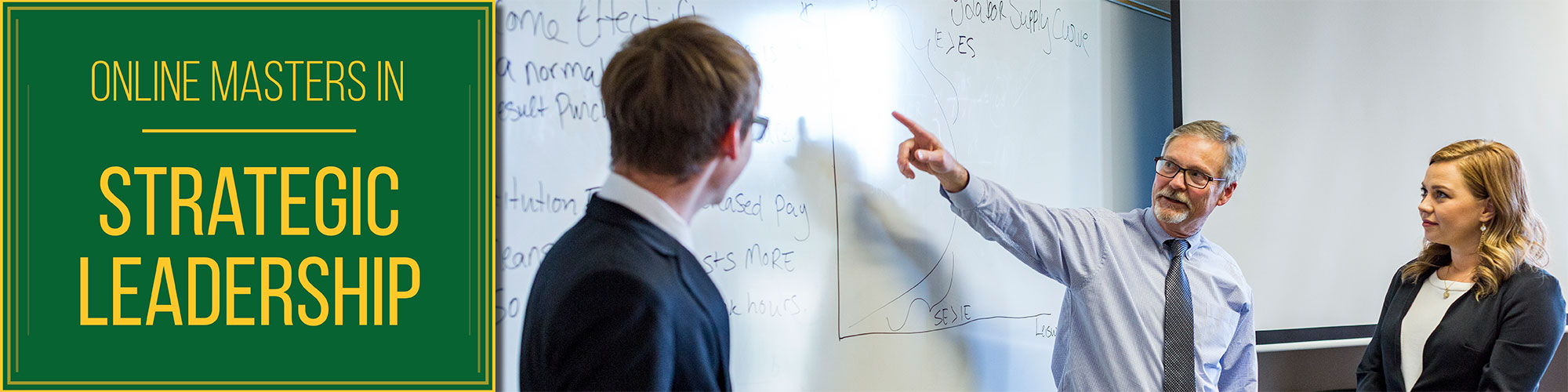 Online Strategic Leadership Program Requirements