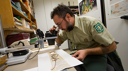 A man looks through a microscope.