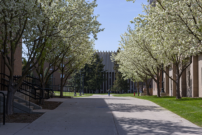 walkway between Meier Hall and the library in spring