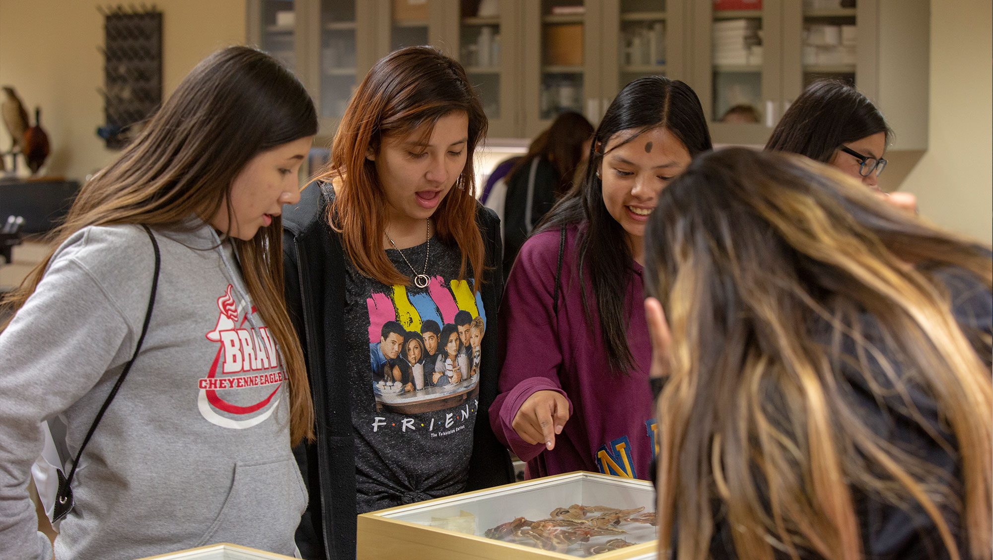 Attendees of the Women in Science conference look at various rocks.