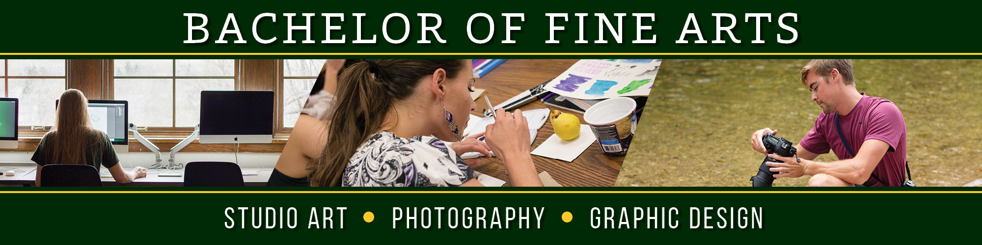 Bachelor of Fine Arts Banner