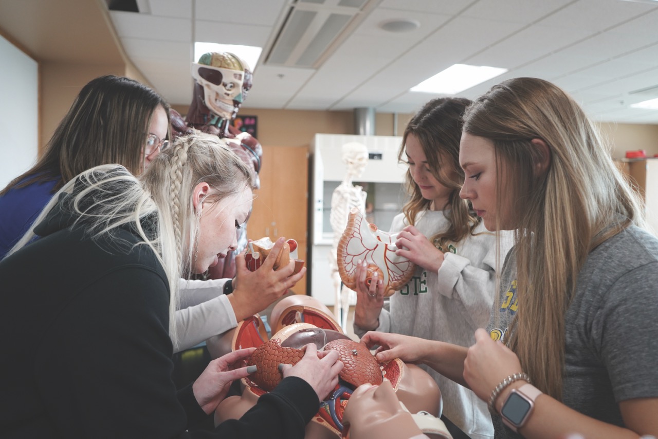 Four female nursing students looking at anatomy dummy and learning about the body