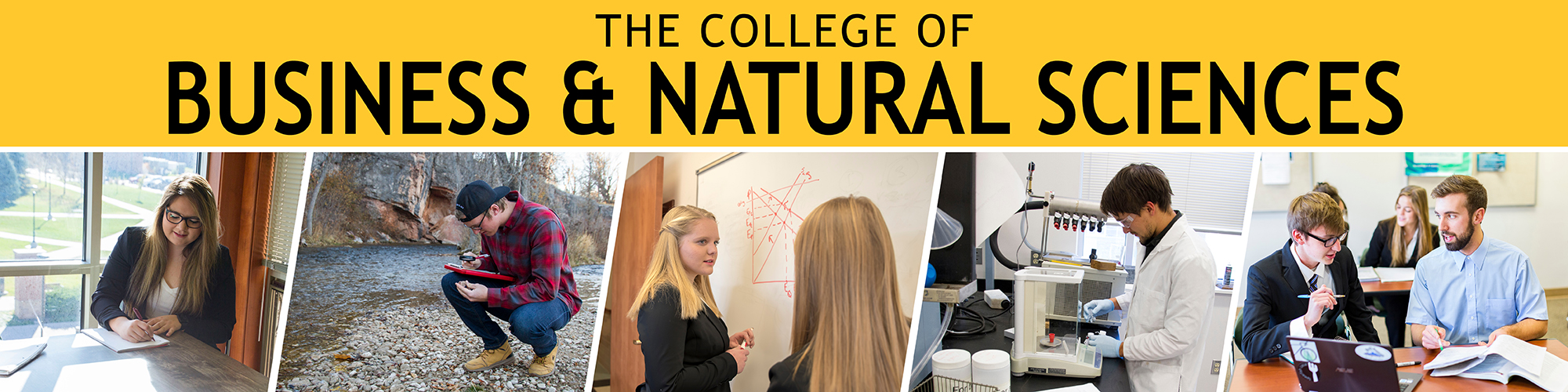 College of Business and Natural Sciences Banner