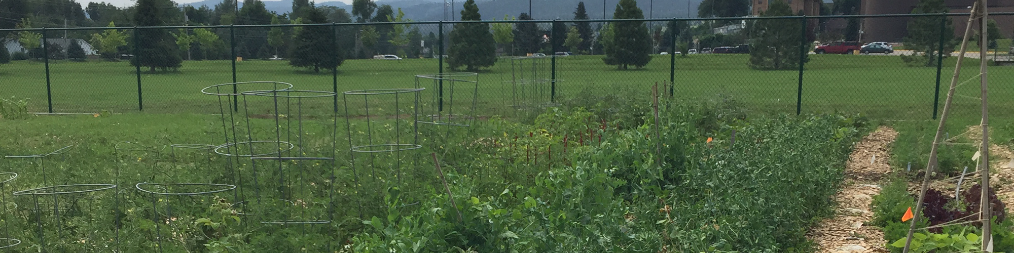 Anita Haeder Garden Banner