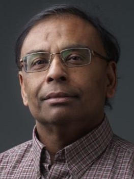 Headshot of Parthasarathi Nag