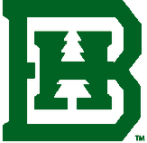 Home Icon