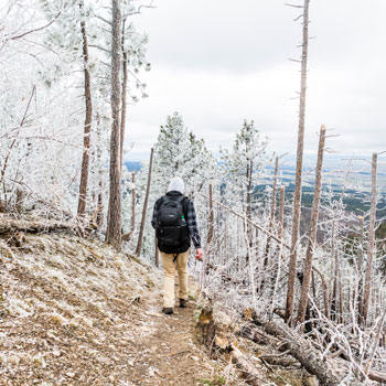 Man walking on hiking path surrounded by trees with frost on them.