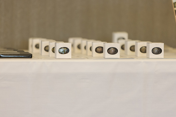 faculty awards standing in a row on a table