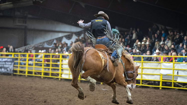 cowboy riding a bucking bronco at a rodeo