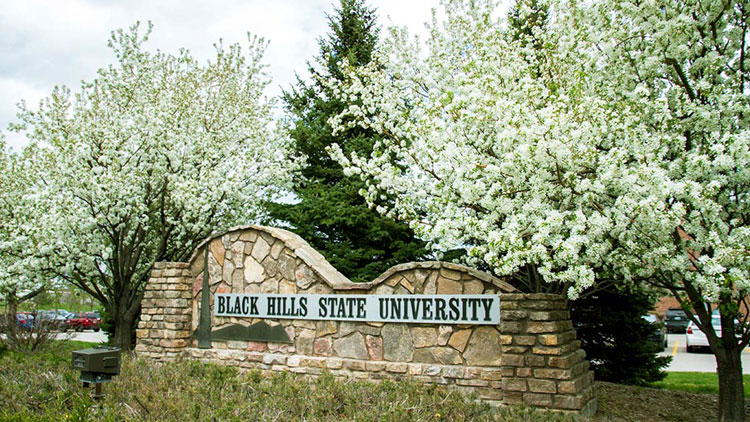 Trees with white flowers frame BHSU sign