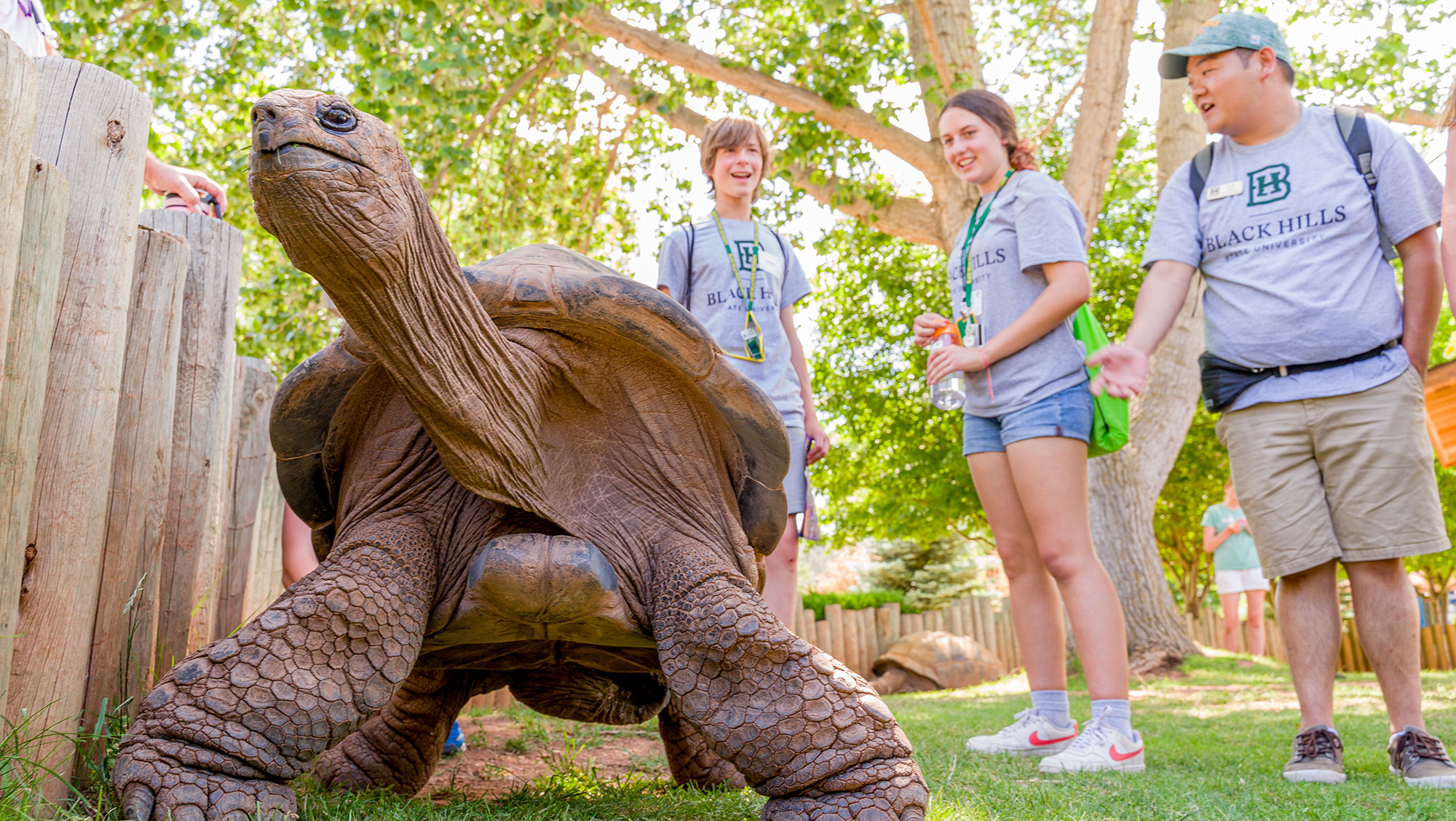Dakota Dreams Summer Campers look over at large turtle while visiting Reptile Gardens