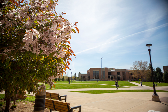 view of the BHSU campus green with flowers in the foreground