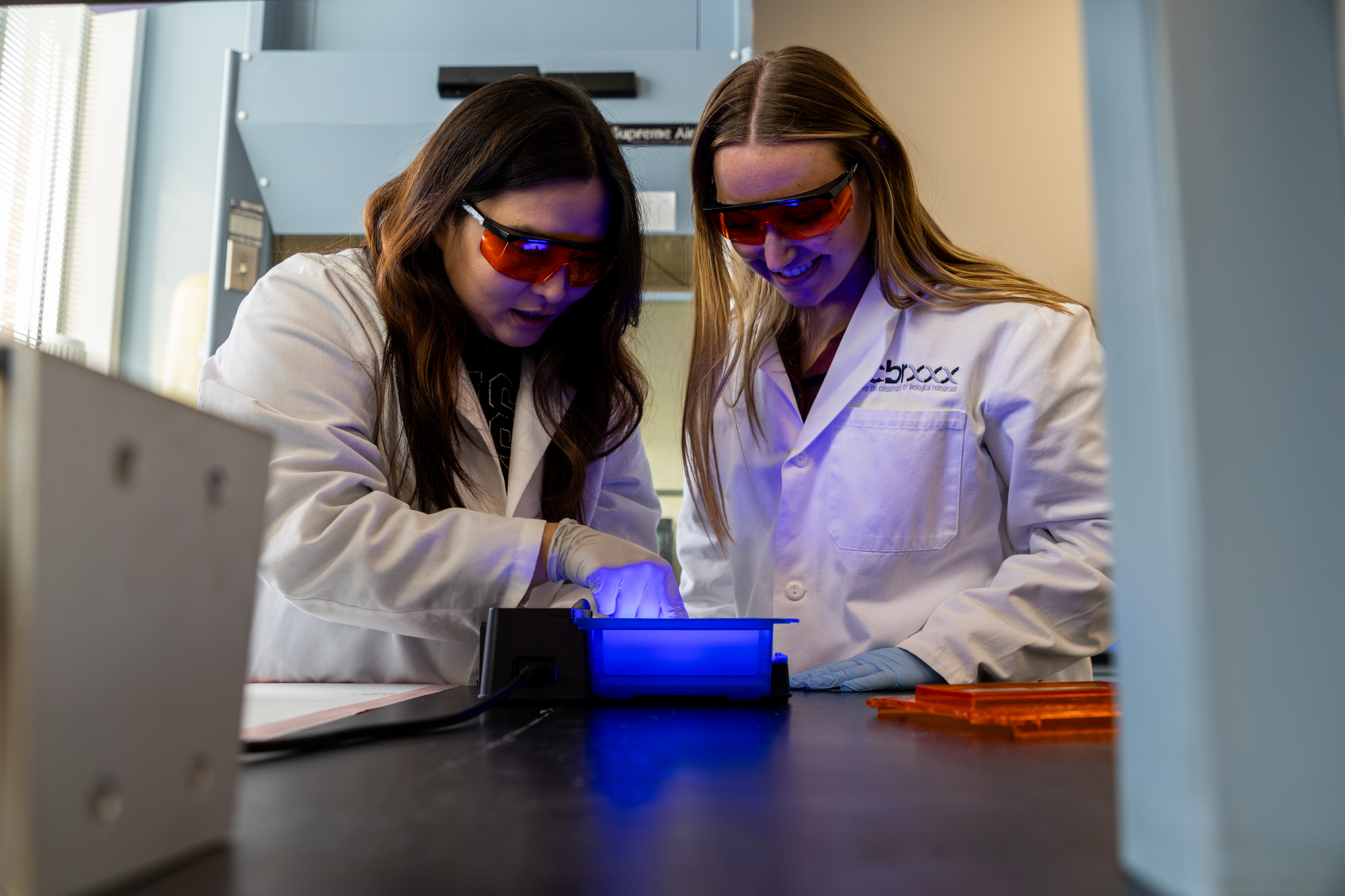 Two female Integrative Genomics students work together in a lab.