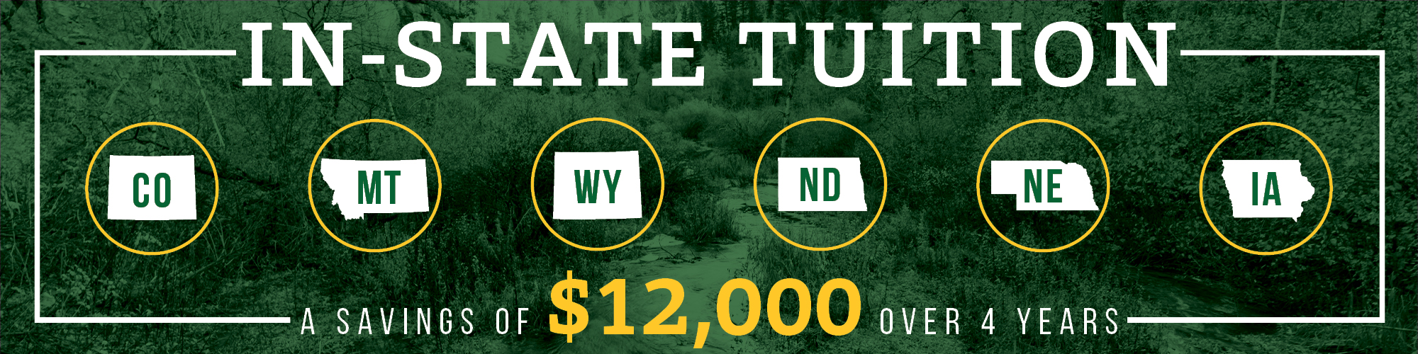 in state tuition
