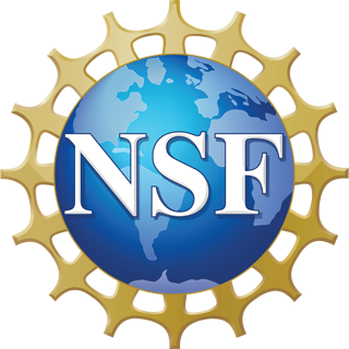 Logo for the National Science Foundation Scholarships in Science, Technology, Engineering, and Mathematics Program.