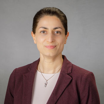Elham Erfanian
