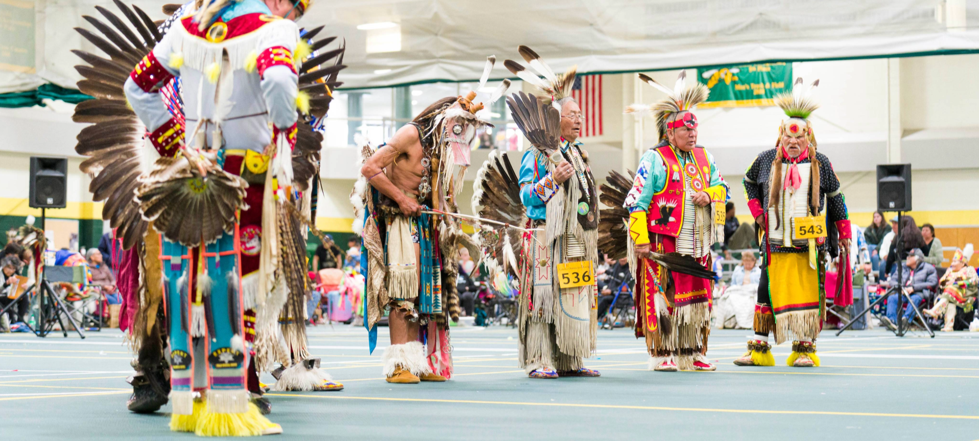 Image of the Lakota Omniciye Wacipi