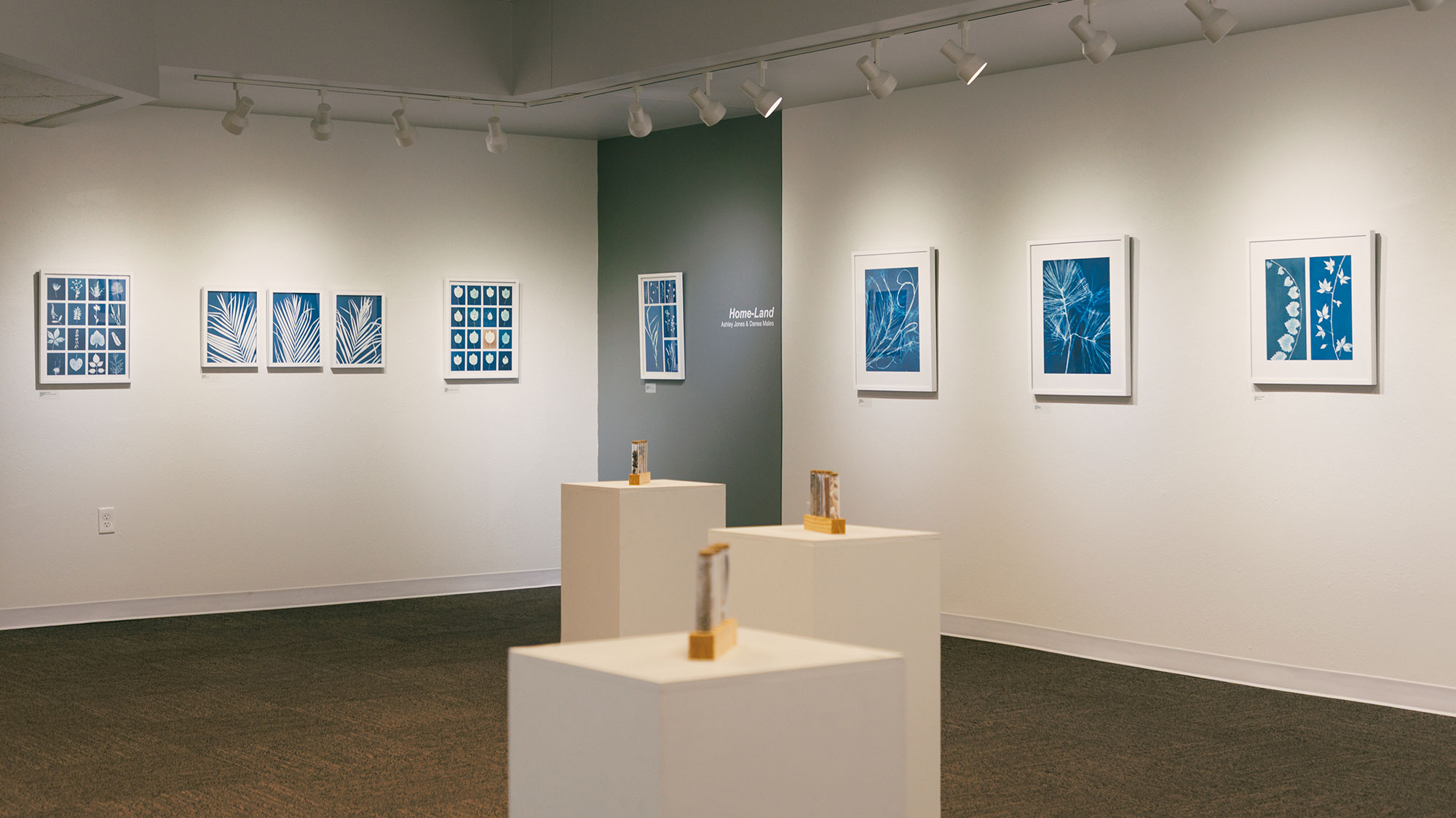 The Ruddell Gallery in BHSU with the display of the Home-Land exhibition.