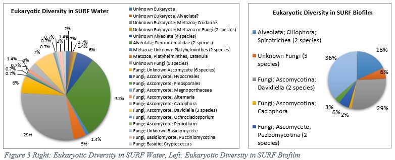 Biology Research